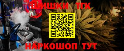 индика Дубна