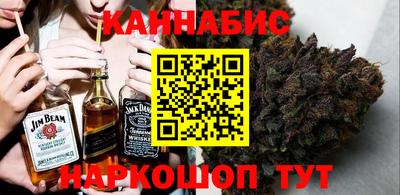 индика Дубна