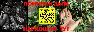 индика Дубна