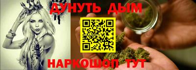 индика Дубна