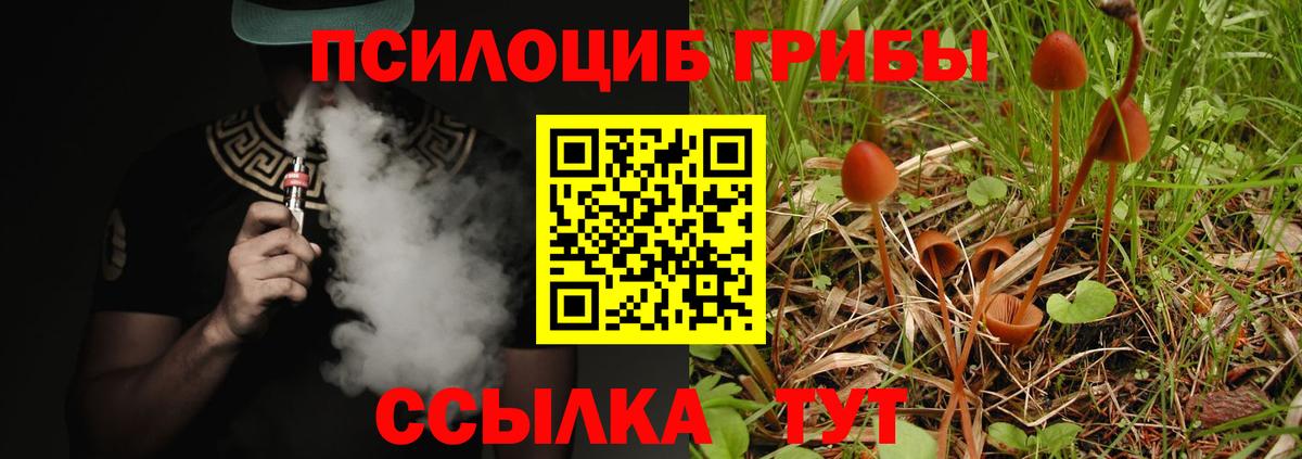 Камень-на-Оби  Галлюциногенные грибы мухоморы  Вход с VPN 